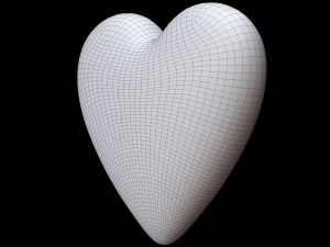 Heart 3D Model