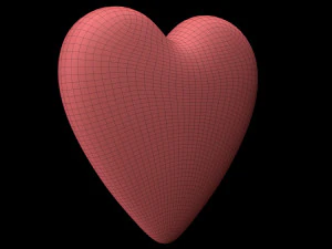 Heart 3D Model