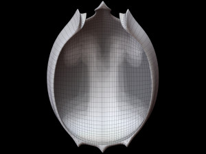 Helmet 3D मॉडल