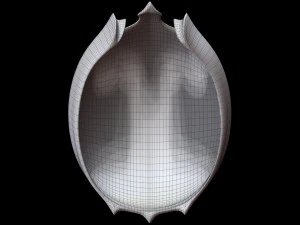 Helmet 3D Model