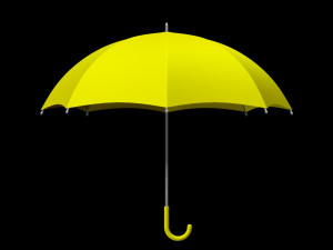 Umbrella 3D Model