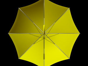 Umbrella Modèle 3D