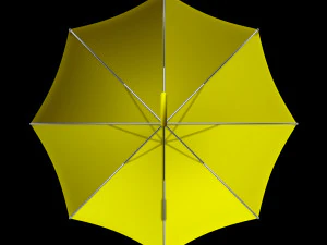 Umbrella 3D Model