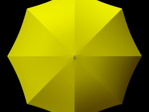 Umbrella Modèle 3D