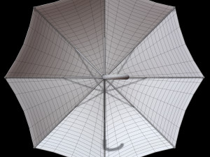 Umbrella Modèle 3D