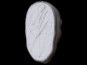 Face Wall Art 3D Model