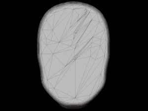 Face Wall Art 3D Model