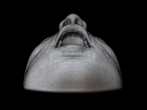 Face Wall Art 3D Model