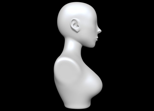 Female mannequin head white 3D - TurboSquid 1297013