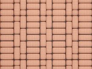 paving stone Modèle 3D