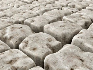 paving stone 3D Model