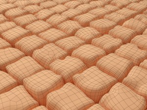 paving stone 3Dモデル