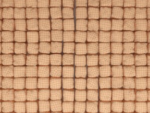 paving stone 3Dモデル