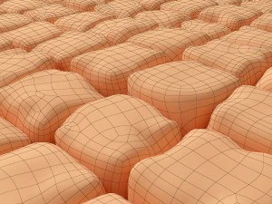 paving stone 3D Model