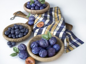 fruit composition 3D Model