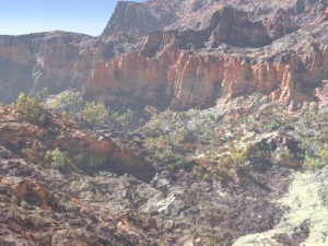 landscape scene vol 1 3D Model