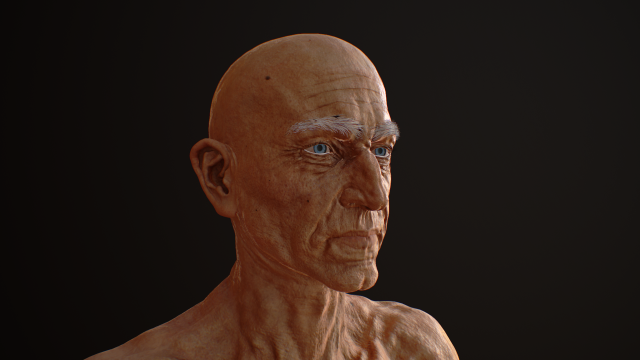 hd male v2 3D Model .c4d .max .obj .3ds .fbx .stl .blend