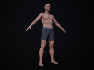 hd male v2 3D Model