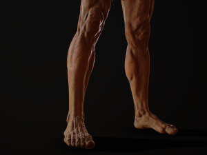 hd male v2 3D Model