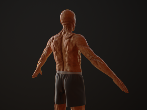 hd male v2 3D Model