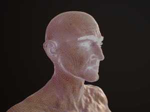 hd male v2 3D Model