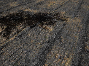 muddy ground 14 pbr seamless texture Texturas CG