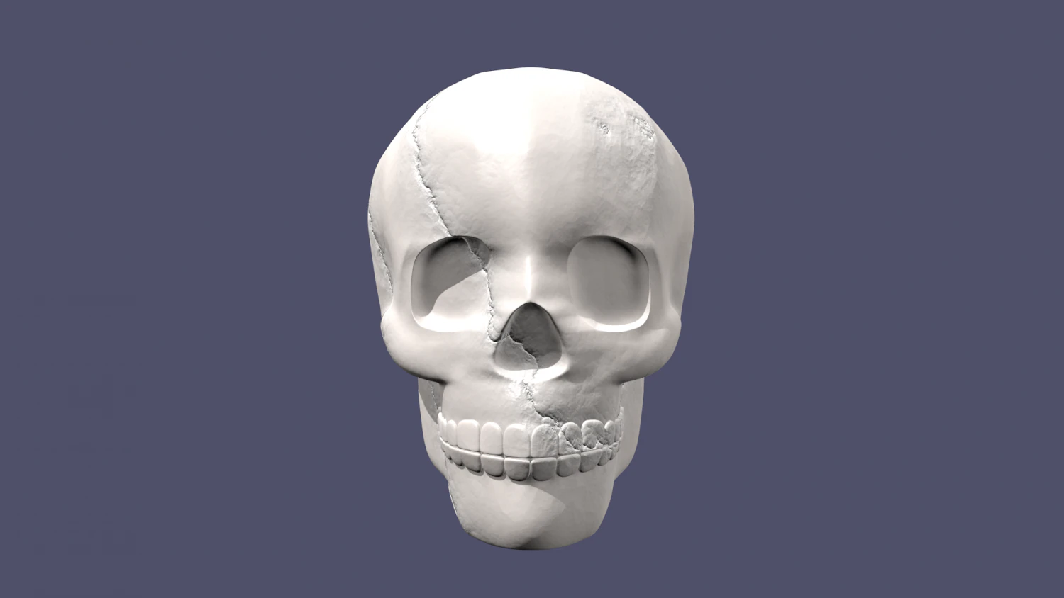 skull 3D Model .c4d .max .obj .3ds .fbx .stl .blend 