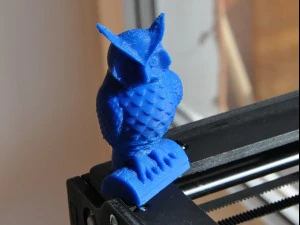 beautiful owl 3D Model