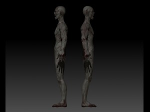 zombie 3D Model