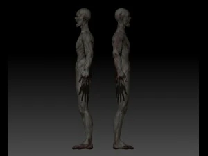zombie 3D Model
