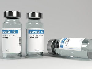 Vaccine Covid 3D Model