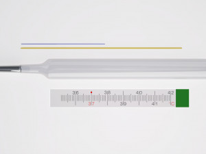 Thermometer Model 3D