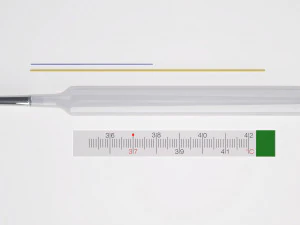 Thermometer 3D Model