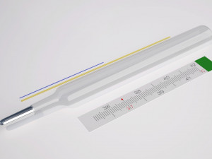 Thermometer Model 3D