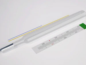 Thermometer 3D Model