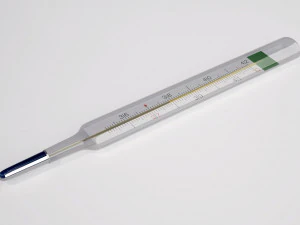 Thermometer 3D Model