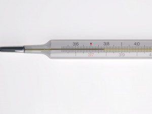 Thermometer Model 3D