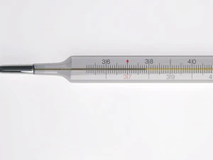Thermometer 3D Model