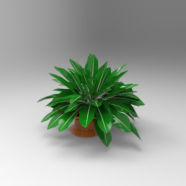house plant 3D Model .c4d .max .obj .3ds .fbx .stl .blend