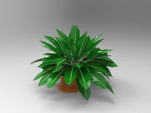 観葉植物 3Dモデル