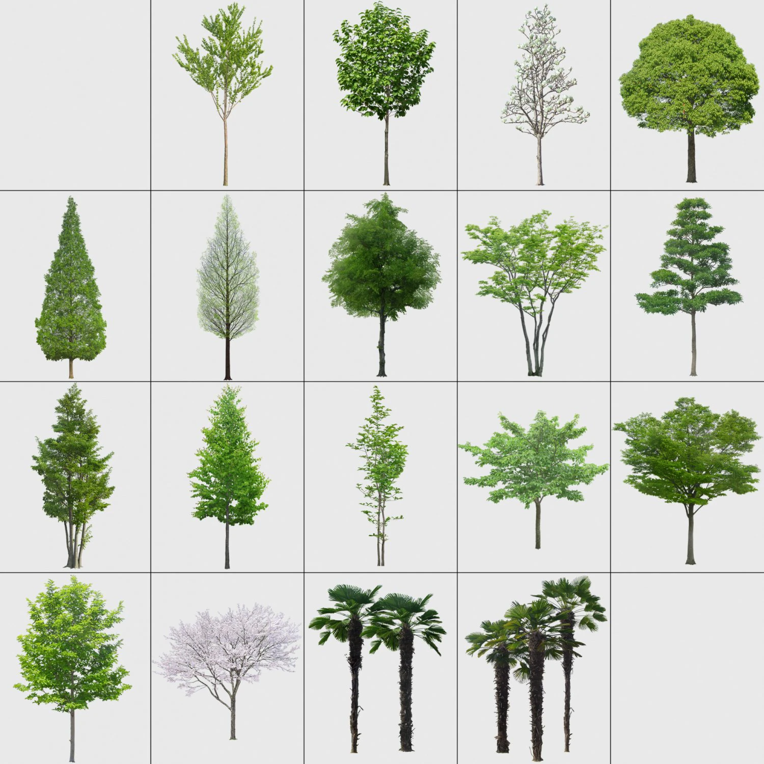 the cut out trees CG Textures .c4d .max .obj .3ds .fbx .stl .blend 