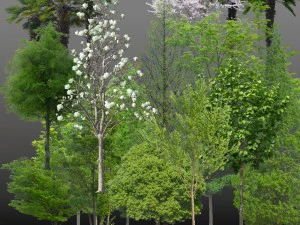 the cut out trees CG Textures