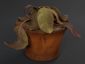 kuru saksı 3D Model