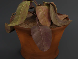 dry flowerpot 3D Model