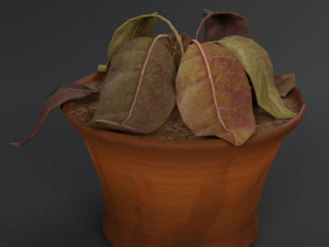 dry flowerpot 3D Model