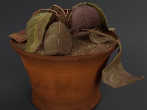dry flowerpot Model 3D