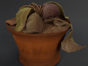 dry flowerpot 3D Model