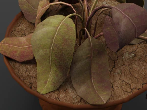 dry flowerpot 3D Model