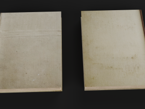 old books set Model 3D