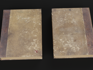 old books set Model 3D